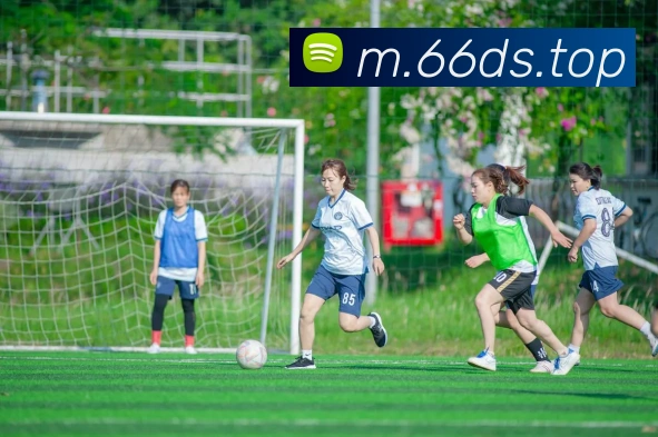 企业概况