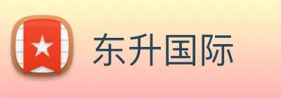 东升国际 Logo